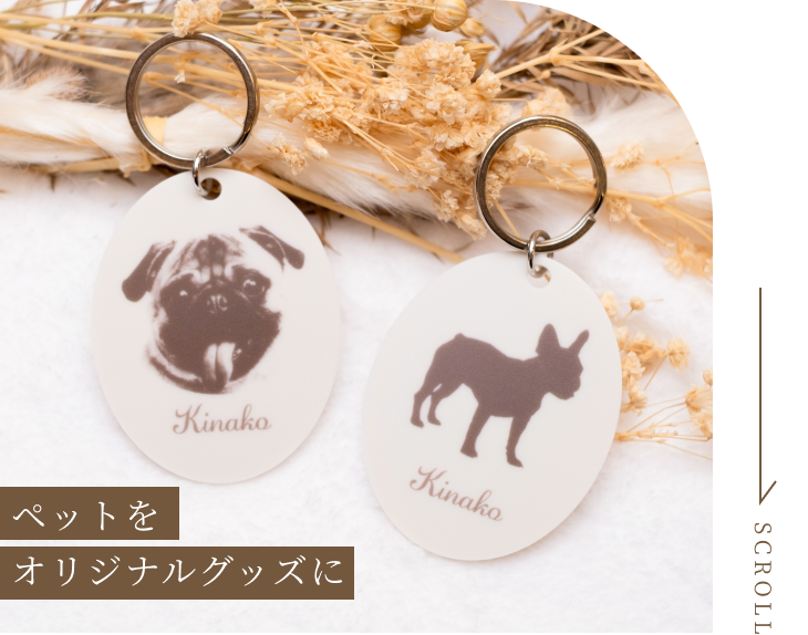 ペットをオリジナルグッズに
