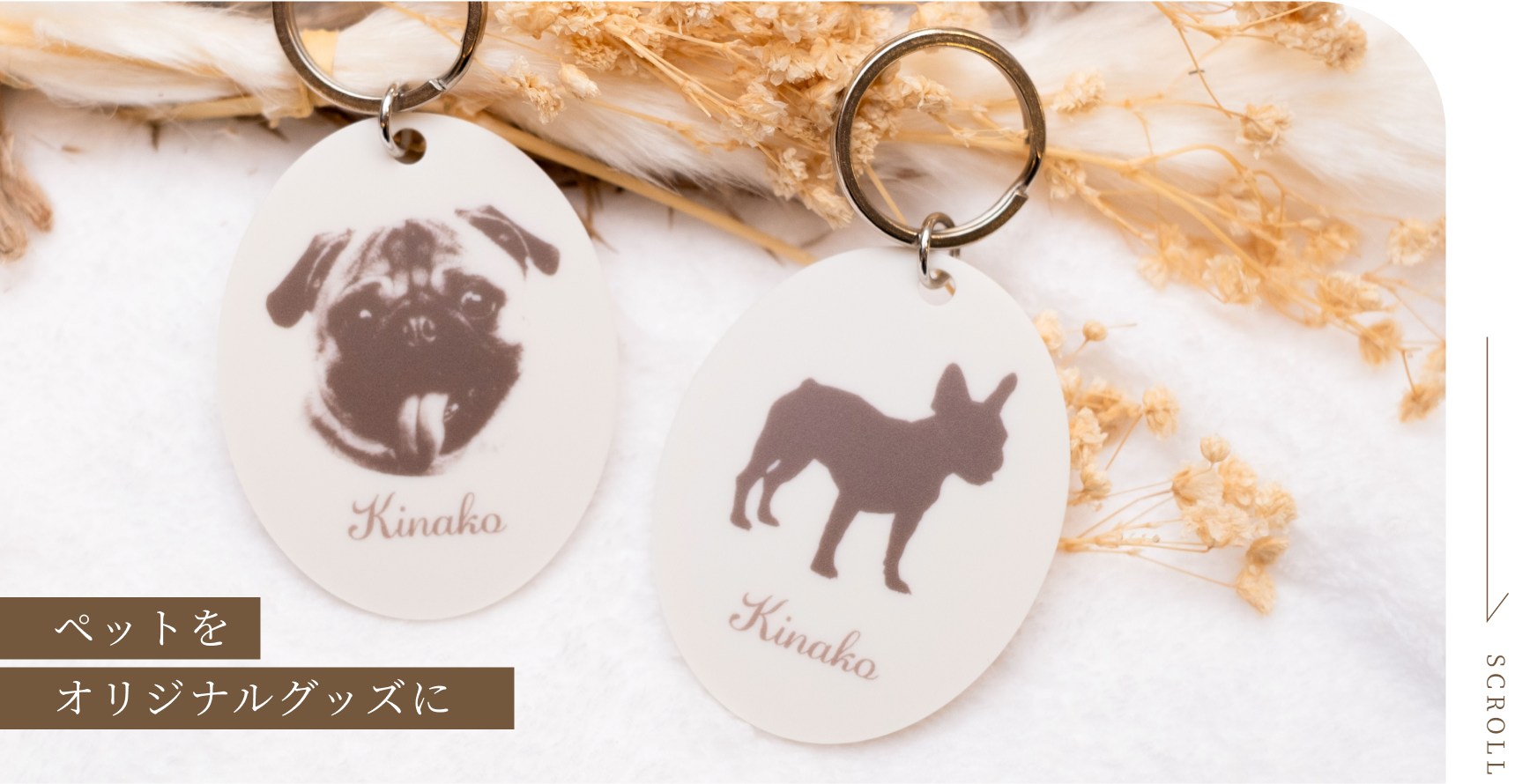 ペットをオリジナルグッズに
